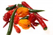 titbit_chilli_mix04re.jpg