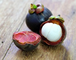 titbit-fotolia_69043901_mangostan.jpg