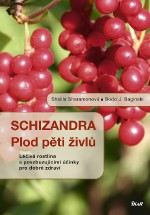 34545-schisandra.jpg