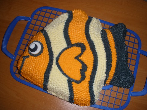 46.-dort-ryba---nemo-1.jpg