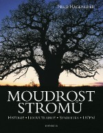 0035673-moudrost-stromu.jpg