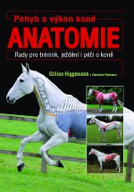 pohyb-a-vykon-kone-anatomie.jpg