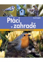 0035363-ptaci-v-zahrade.jpg